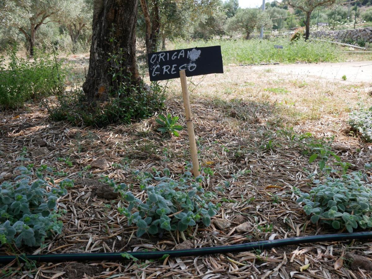 Pantalica Ranch Agriturismo Siciliano Villa Sortino Ngoại thất bức ảnh