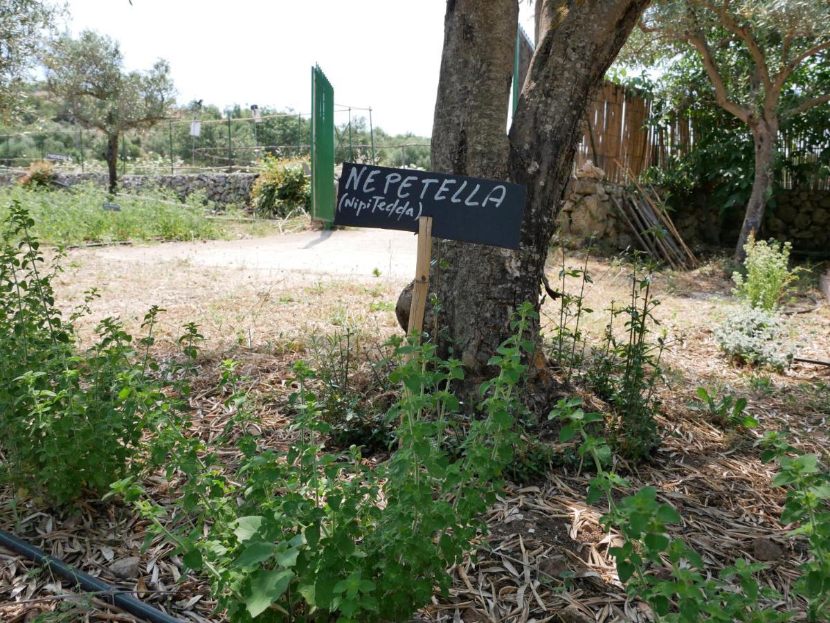 Pantalica Ranch Agriturismo Siciliano Villa Sortino Ngoại thất bức ảnh