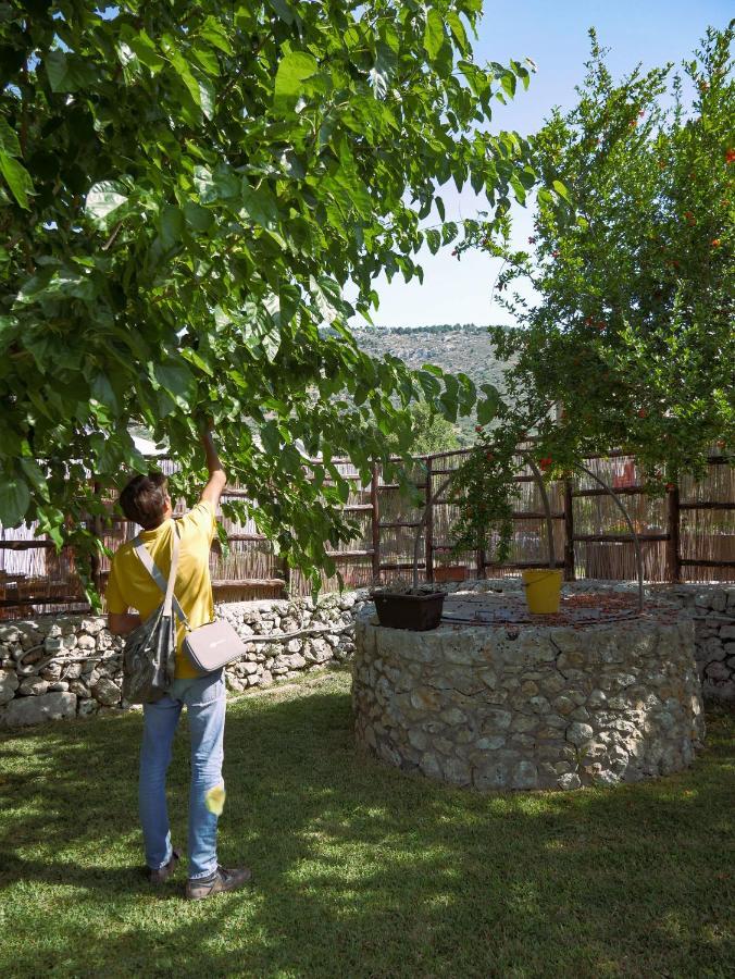 Pantalica Ranch Agriturismo Siciliano Villa Sortino Ngoại thất bức ảnh