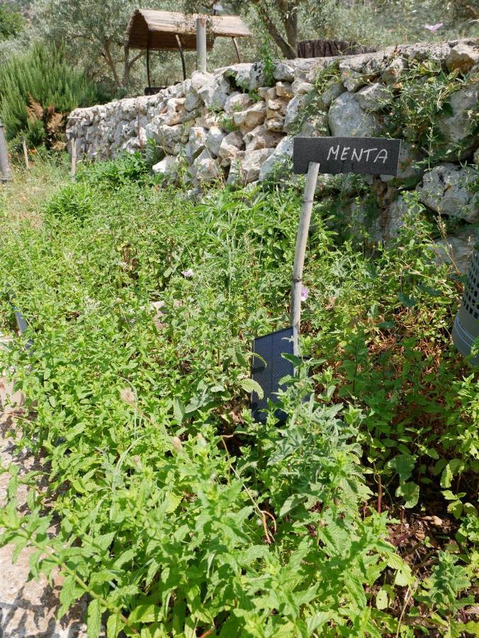 Pantalica Ranch Agriturismo Siciliano Villa Sortino Ngoại thất bức ảnh