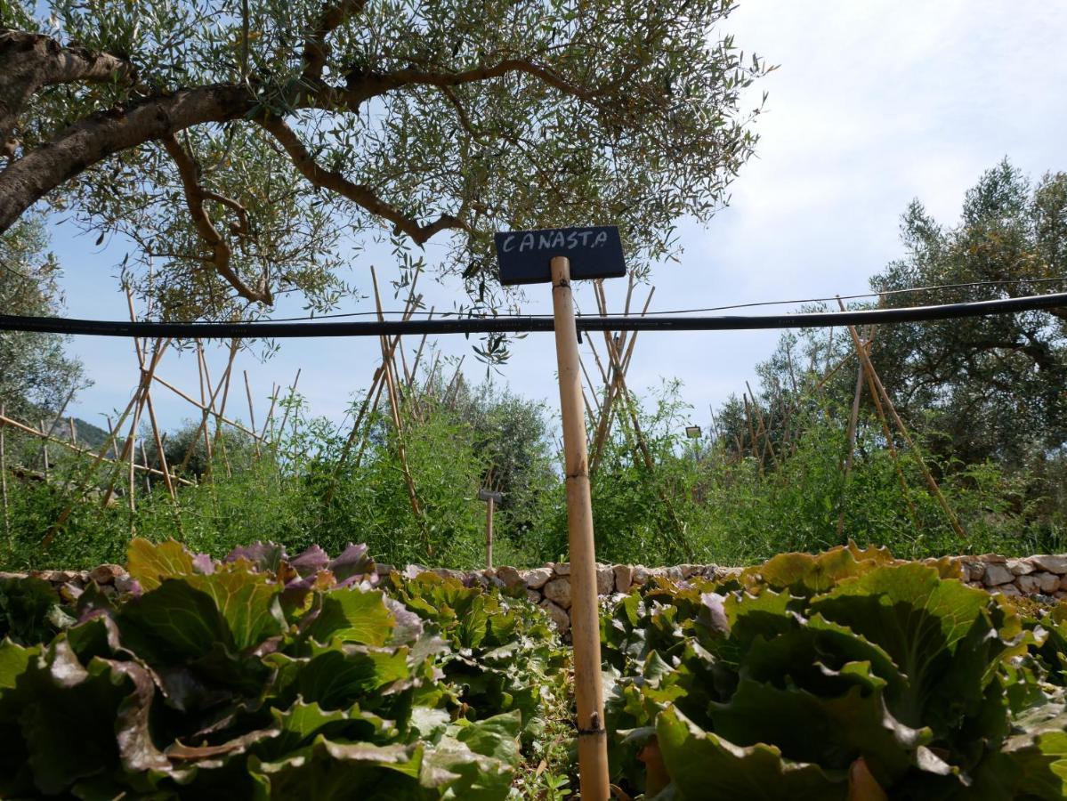 Pantalica Ranch Agriturismo Siciliano Villa Sortino Ngoại thất bức ảnh