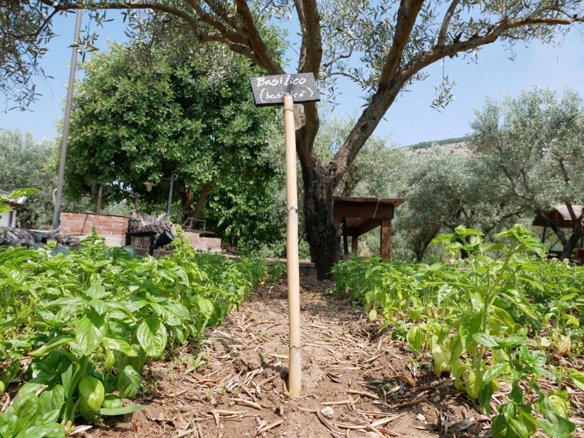 Pantalica Ranch Agriturismo Siciliano Villa Sortino Ngoại thất bức ảnh